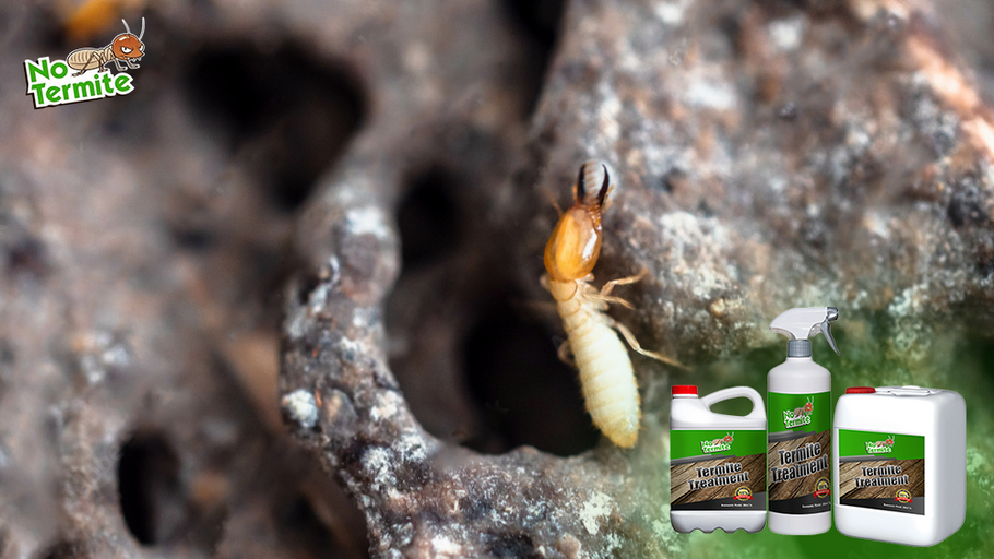 Tõhusad strateegiad termiitide ennetamiseks: olulised näpunäited majaomanikele