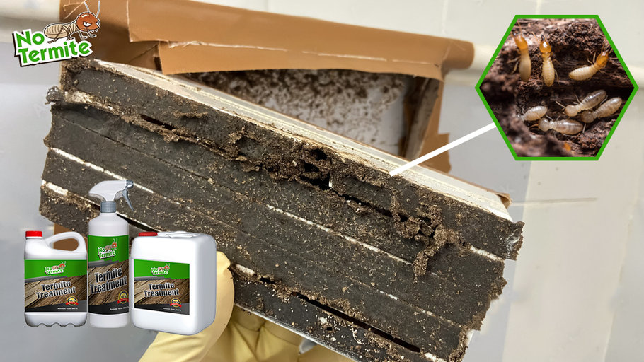 Kas teie investeeringud on termiitide eest kaitstud?