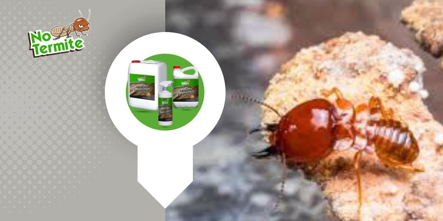 Kuidas hävitada termiite keskkonda kahjustamata?