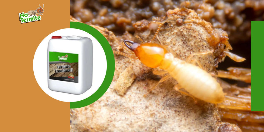 Milliseid lõkse termiitidega võideldes vältida?